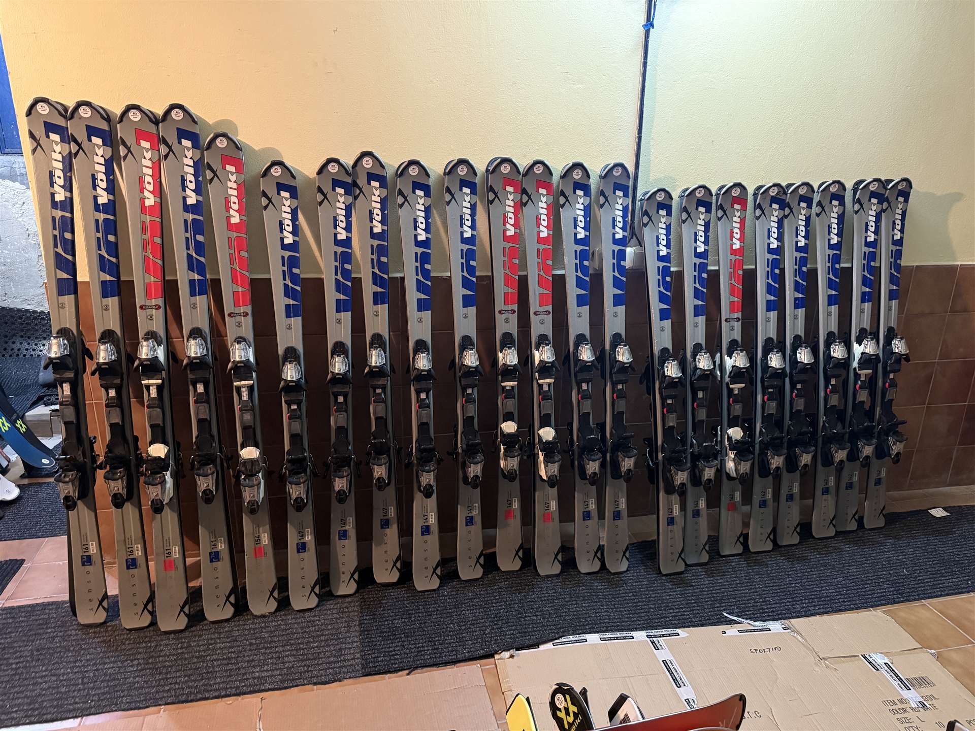 Lyže Volkl 22 kusov - 55€ za kus